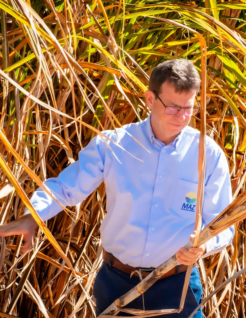 MAZ-Consultoria-Agricola--Prancheta-1