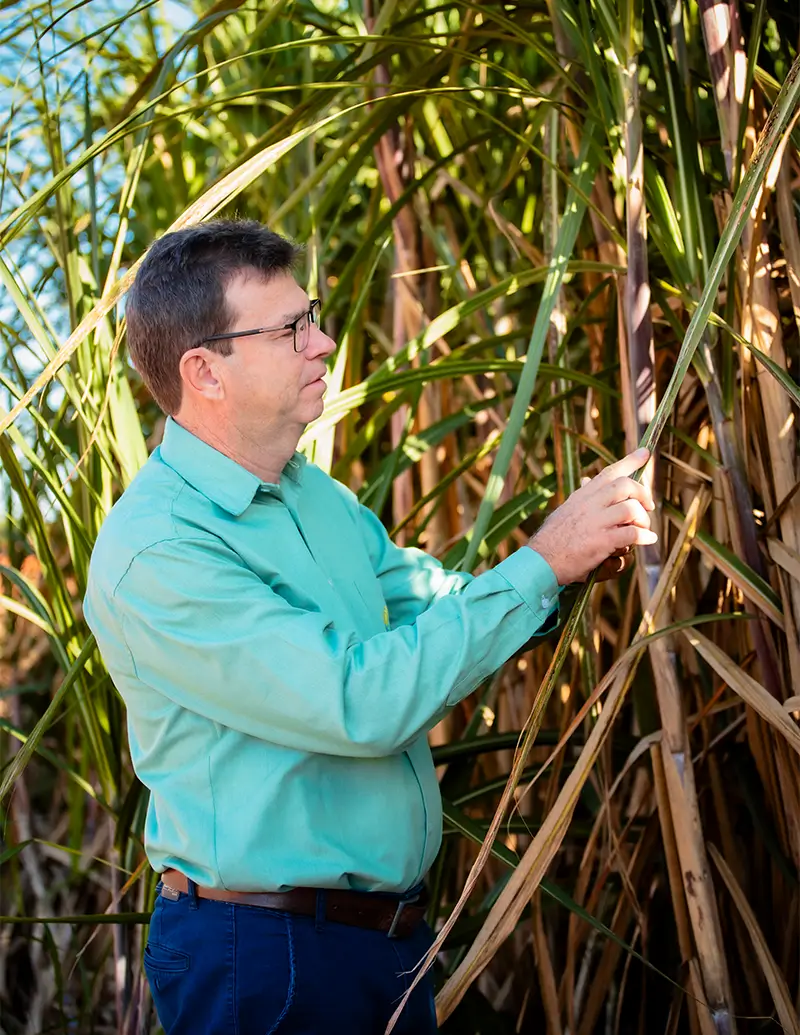 MAZ-Consultoria-Agricola--Prancheta-2